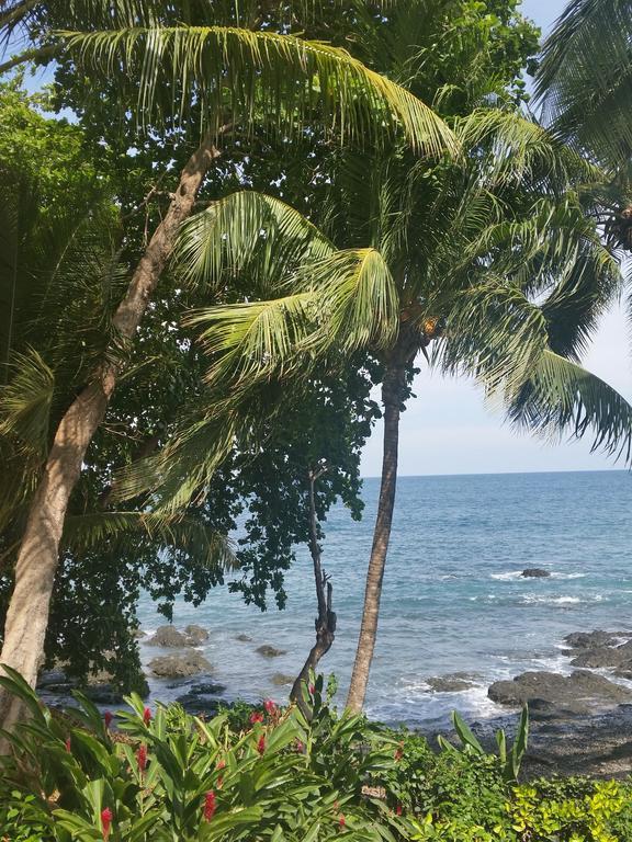 Hotel Cabinas Mar Y Cielo Montezuma Dış mekan fotoğraf